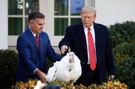 We did not find results for: Turkey Pardon 2019 Trump Spares Two Turkeys Makes Impeachment Jokes