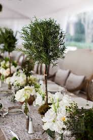 An Elegant Garden Party Wedding In Sea Island Georgia Topiary Centerpieces Wedding Floral Centerpieces Tree Centrepiece Wedding