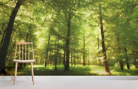 Choose from hundreds of free forest wallpapers. Green Oak Forest Wallpaper Mural Hovia Nz