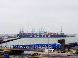 Pin On Containers In Zeebrugge