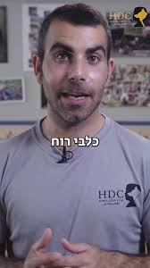 הכירו את כלבי הרוח ! ובמה הם הכי טובים ?!