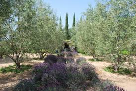 Arlington Gardens Arlington Country Roads Plant Design