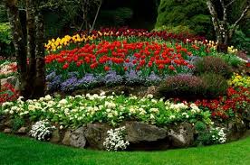 Flower bed ideas don't have to be predictable. Pin On Gardening