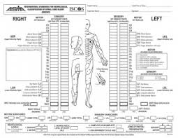 17 images of motor neurologic exam template libchen com