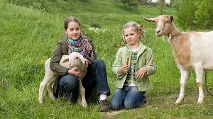 Pin Von Jana Hochbach Auf Tiere Bis Unters Dach Tiere Bis Unters Dach Tiere Coole Serien