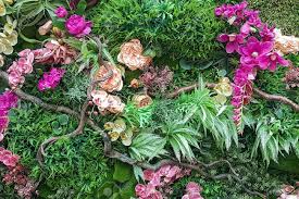 Nov 04, 2016 · this page collects all of the artwork in animal crossing: Decorative Fake Tropical Floral Arrangement As Background Or Texture Stock Photo Picture And Royalty Free Image Image 123563835