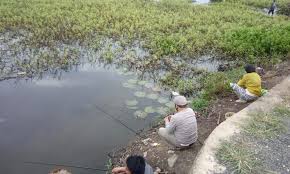 Spot Mancing Di Desa Tungkaran Ada Penjual Gorengan Lho Kanal Kalimantan