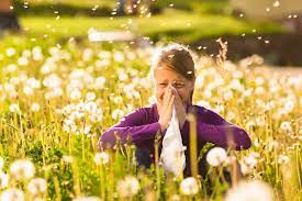 What Is Hay Fever Signs Symptoms Causes And Treatment Options