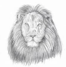 Lion crown with sunglasses silhouette svg cut file. Comment Dessiner Un Lion Dessin Visage Facile Comment Dessiner Un Lion Dessin Lion