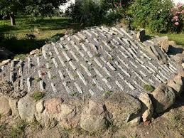 Image result for Coptosperma