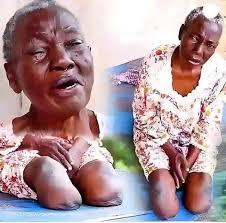 BMW facts and pug birthday wishes