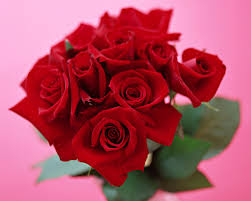 More free valentine clip art can be had at classroom clipart, but you should know before downloading them that all of them have a small classroomclipart.com watermark over the image. Beautiful Valentine Day Rose Images Free Download Wallpaper