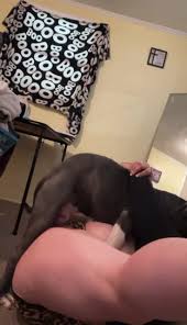 Bbw fucks dog join for more > t.me+Emf0o-m4CeAzODI5 -  BestialitySexTaboo - Bestiality Sex Taboo