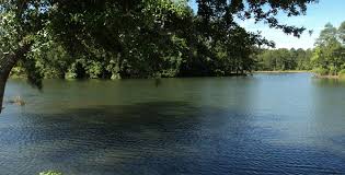 10 scenic south carolina rv campgrounds. Camp Lake Jasper Rv Resort 5 Photos 2 Reviews Hardeeville Sc