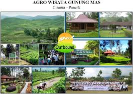 Outbound Agro Wisata Gunung Mas Cisarua Puncak Go Outbound