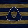 All about football club pumas unam: 1