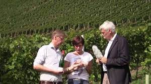 Es liegt am dorfrand von kanzem, an einem seitenarm der saar, an dem sich auch biber und kröten tummeln. Vif Wein Des Monats Oktober 2014 Max Riesling Vom Weingut Von Othegraven Mit Gunther Jauch Youtube