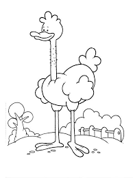 Desenhos para colorir, clique na imagem ao aparecer em outra janela, clique com o botão direito do mouse sobre a imagem e escolha a opção imprimir ou a opção salvar como que salva a imagem em seu computador. 14 Ideias De Avestruz Desenhos Avestruz Figuras Para Colorir