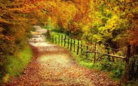 Autumn Trail Wallpapers - Top Free Autumn Trail Backgrounds -  WallpaperAccess