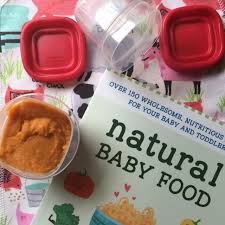 Simple Natural And Nutritious Baby Food Recipes From Dr Sonali Ruder Cloth Diaper Geek