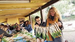 9x typical Catalan traditions in Catalonia - Vegan Travel Life