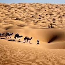 صورة الصحراء