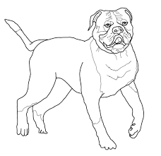Free printable bulldog coloring pages download free clip art. American Bulldog Coloring Pages Dog Coloring Pages Coloring Pages For Kids And Adults
