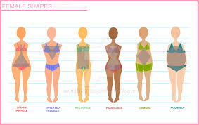 10 disclosed anime body types female chart