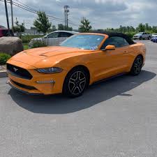 Use our car search or research makes and models with customer reviews, expert reviews, and more. Shaggy At F X Caprara Car Companies 1 843 Photos Car Dealership Bradley St Watertown Ny 13601