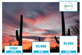 The saguaro cactus is the water cooler of the sonoran desert, bringing all kinds of life forms together. Cactus Removal Cost Average Prices Liberty Tree Experts