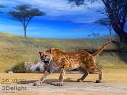 Miracinonyx Th American Cheetah Animals Panther Kangaroo