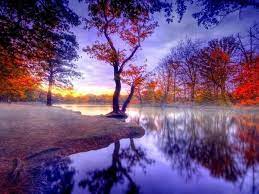 Ignortesc Hd Ignortesc Garden Pictures Forest Sunset Forest Wallpaper