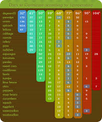 When To Start Vegetable Seeds Indoor And Outdoor Helpful