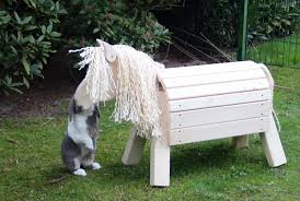 Bildergalerie Holzpferde Aus Der Manufaktur Topp Holz Holzpferd Holzpferd Bausatz Holz