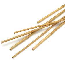 If you're looking for other landscape supplies, call our friendly staff at all stake supply. Pack Of 10 Bamboo Canes