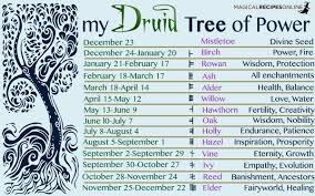 Druid S Magical Trees Of The Year Celtic Astrology Celtic Astrology Magical Tree Druid