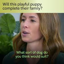 House Hunting in Miami