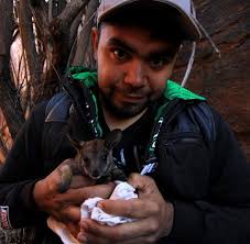 The 11th TRAPPING SURVEY