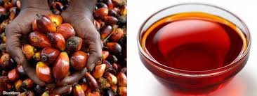 Image result for Three Brilliant Palm Oil Business Trading Ideas – How To Start Palm Oil