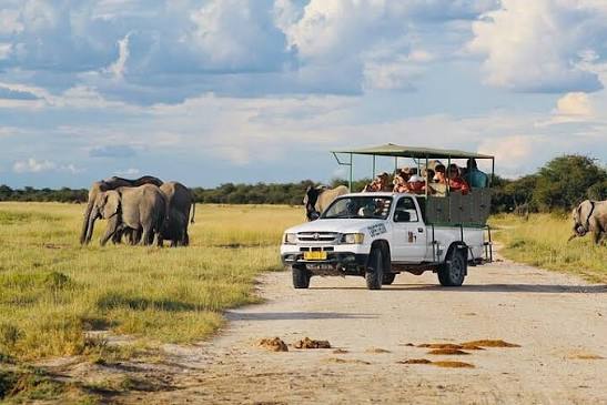 Etosha National Park Wildlife Waterhole Elephants Safari Namibia