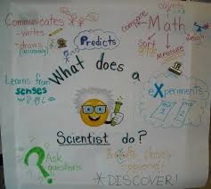 first grade lesson scientists ask and answer questions