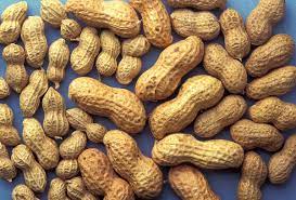 Produk kacang tanah kami berasal dari sumber pilihan hanya dari belahan bumi terbaik. Peanut Wiktionary