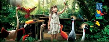 Featuring 10 colourful lory species, this exhibit is a favourite amongst guests who get to feed the gregarious lories a nectar mix while observing them up close. Singapore Jurong Bird Park Tickets And Tours With City Tours Singapore Book Online Now At Only S 40 00