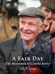 Book: A Fair Day