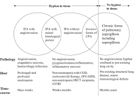 Diagnosing an infection caused by aspergillus mold can be difficult and depends on the type of aspergillus infection. The Clinical Spectrum Of Pulmonary Aspergillosis Thorax