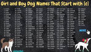 +200 best dog names starting with c | popular puppy names begin with c. Dog Names That Start With C For Girl And Boy Dog