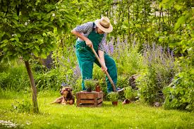 Man kann viel falsch machen. Garten Anlegen Pflegeleicht Durch S Ganze Jahr Mein Bau