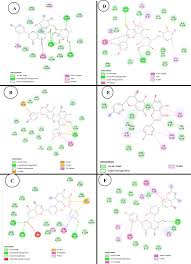 Image result for Rhabdophyllum arnoldianum