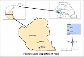 Image result for Kohautia microflora