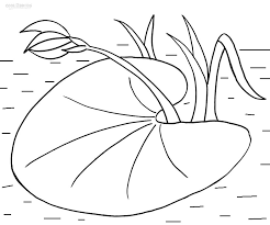 Find more lily coloring page pictures. Printable Lily Pad Coloring Pages For Kids